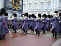Buckingham Palace衛兵交代式 